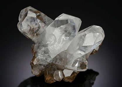 CC6715 specimen image