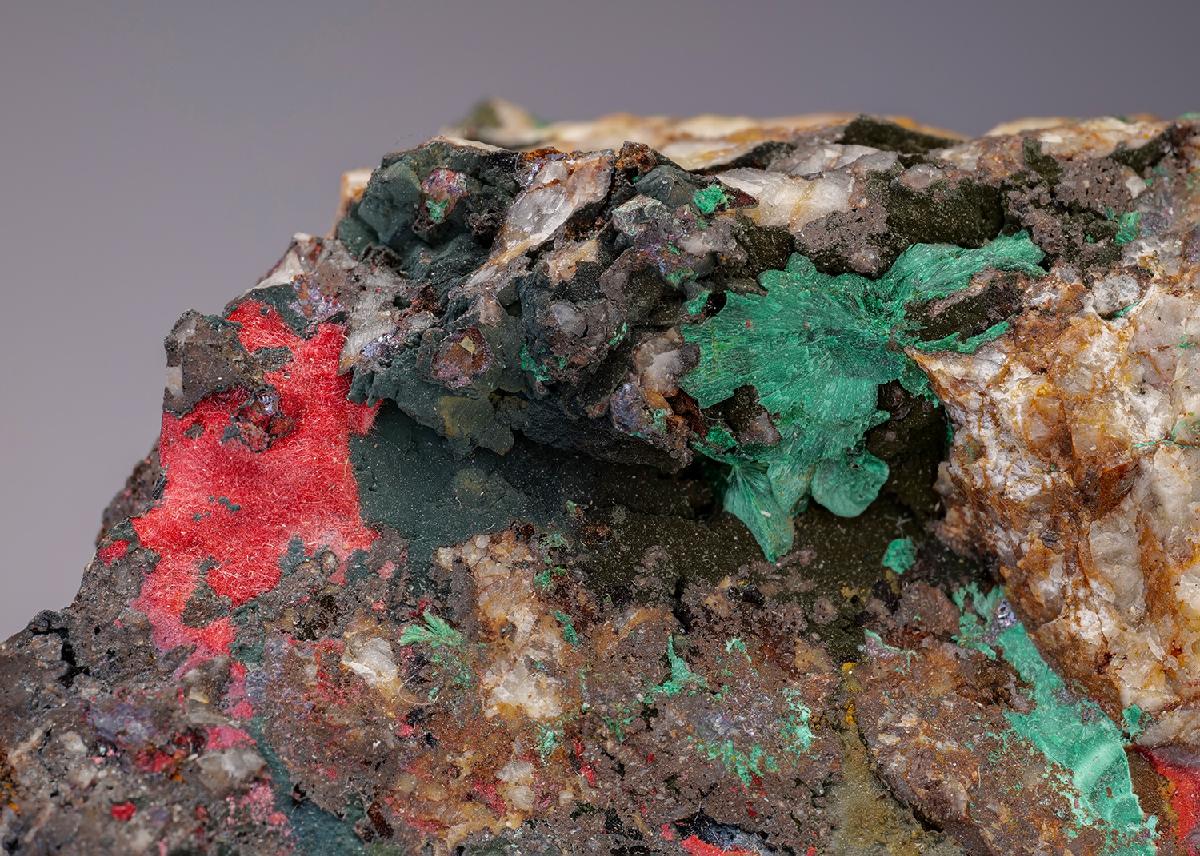 CC6718 specimen image
