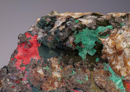 CC6718 specimen image