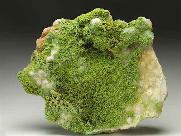 CC6741 specimen image