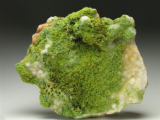 CC6741 specimen image