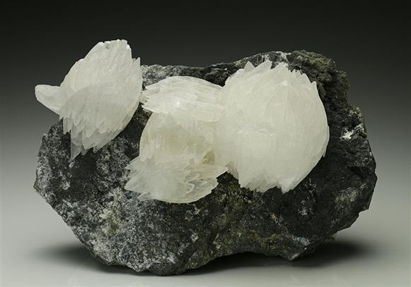 CC6752 specimen image
