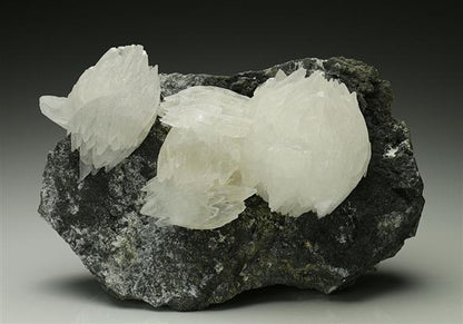 CC6752 specimen image