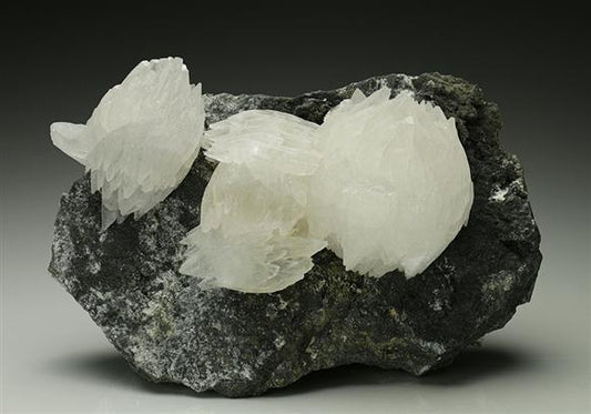 CC6752 specimen image