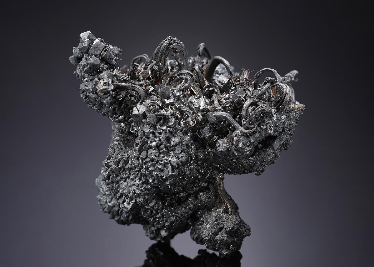 CC6795 specimen image