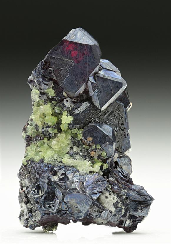 CC6796 specimen image