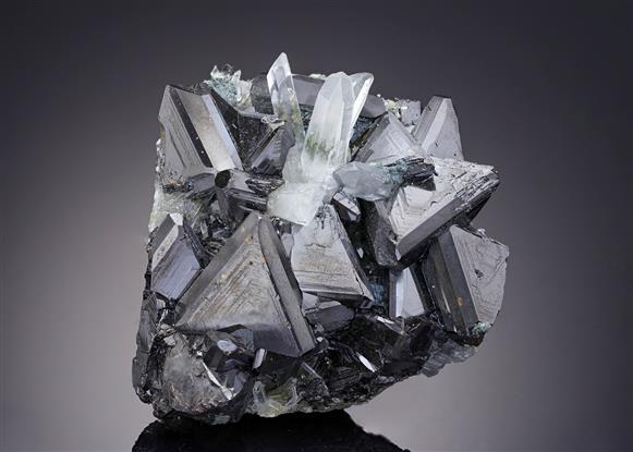 CC6798 specimen image