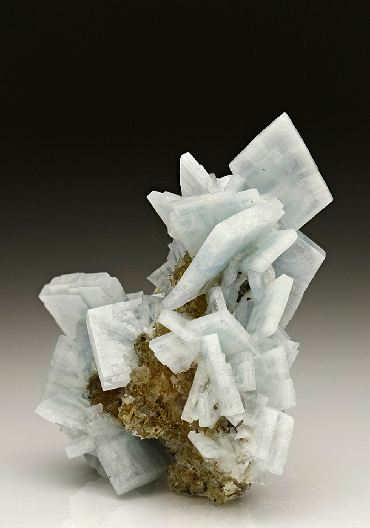 CC6814 specimen image