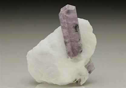 CC6832 specimen image