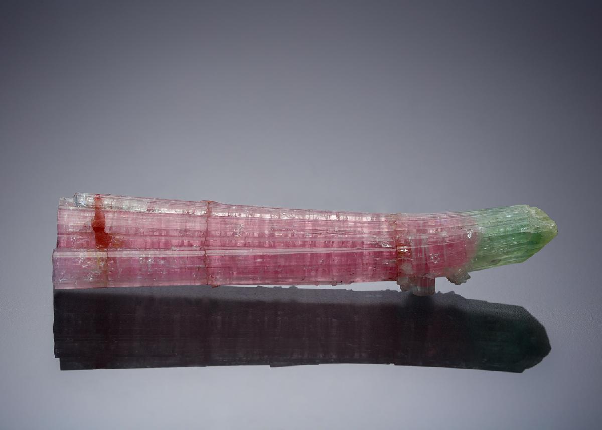 CC6890 specimen image