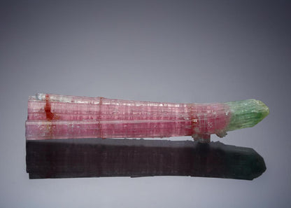 CC6890 specimen image