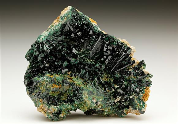 CC6902 specimen image