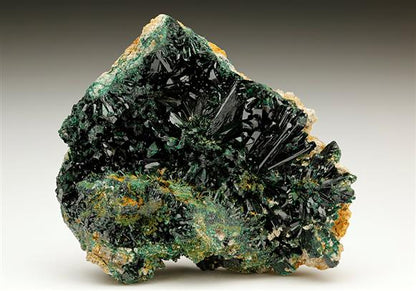 CC6902 specimen image