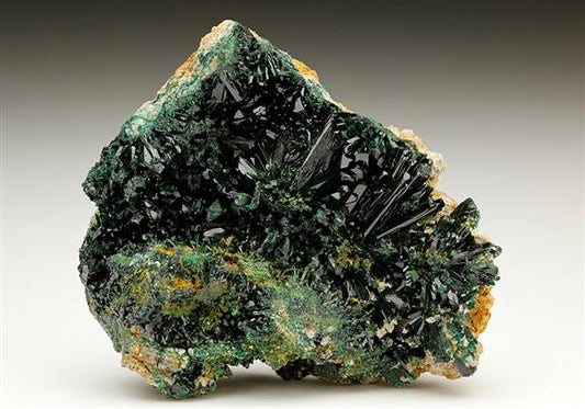 CC6902 specimen image