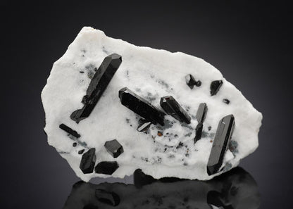 CC6906 specimen image