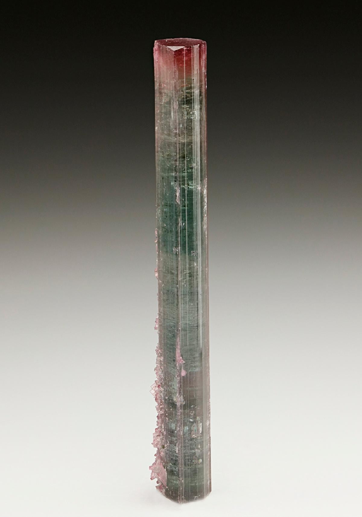 CC6910 specimen image