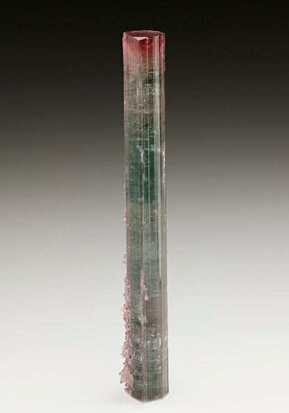CC6910 specimen image