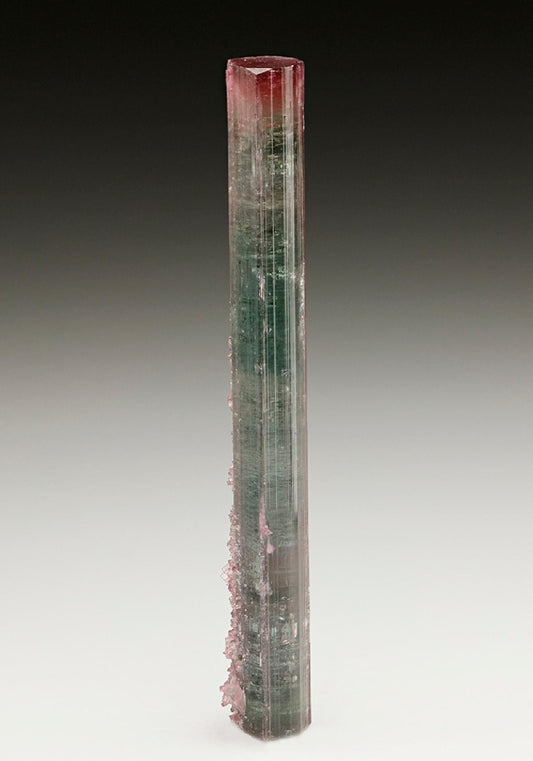 CC6910 specimen image