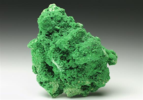 CC6915 specimen image