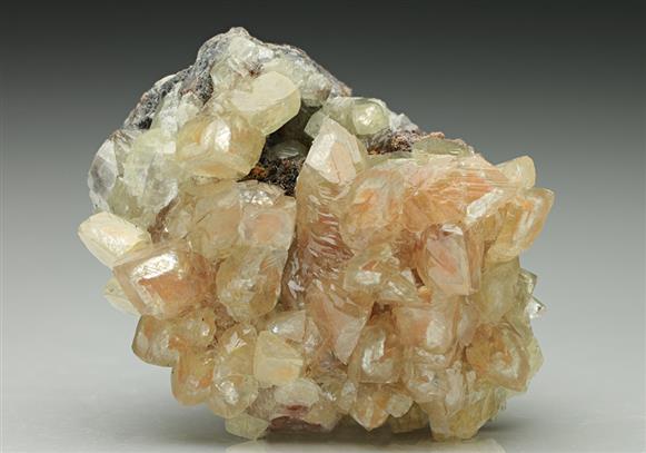 CC6920 specimen image