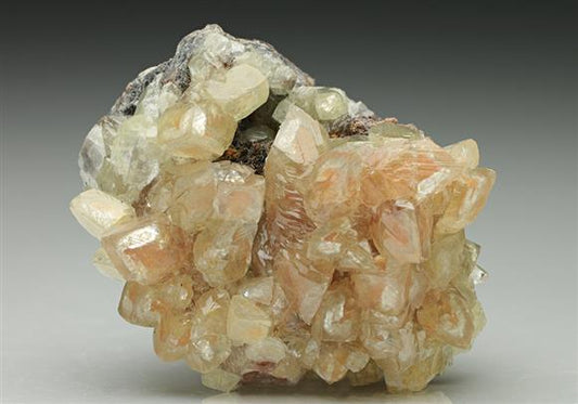 CC6920 specimen image