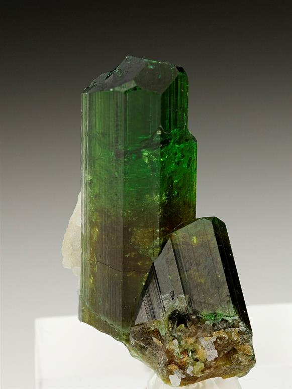CC6925 specimen image