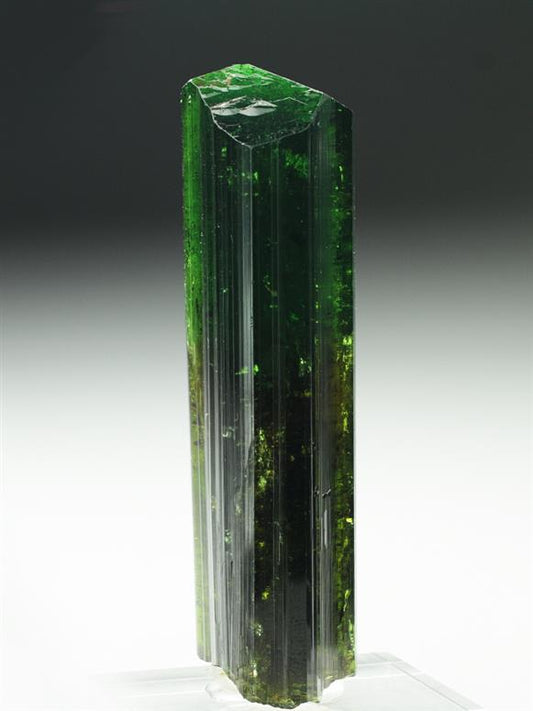 CC6938 specimen image