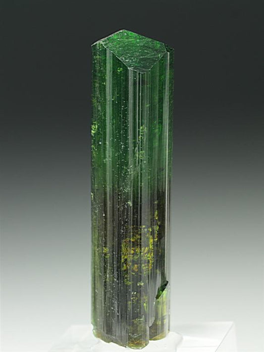 CC6948 specimen image