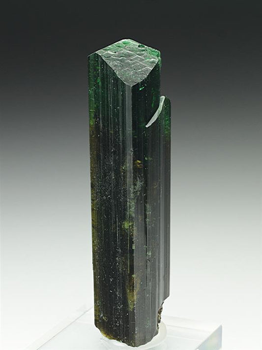 CC6950 specimen image