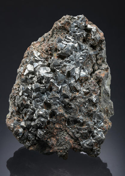 CC6959 specimen image