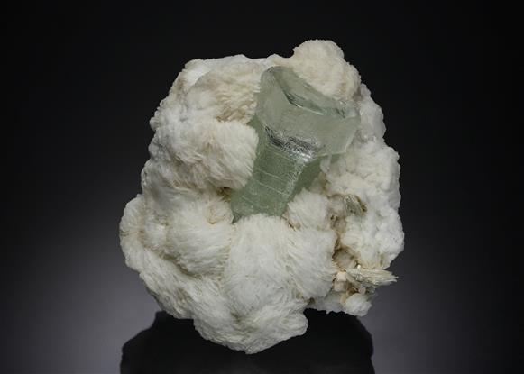 CC6964 specimen image