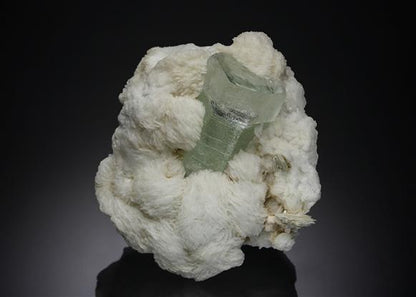 CC6964 specimen image