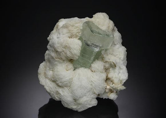 CC6964 specimen image