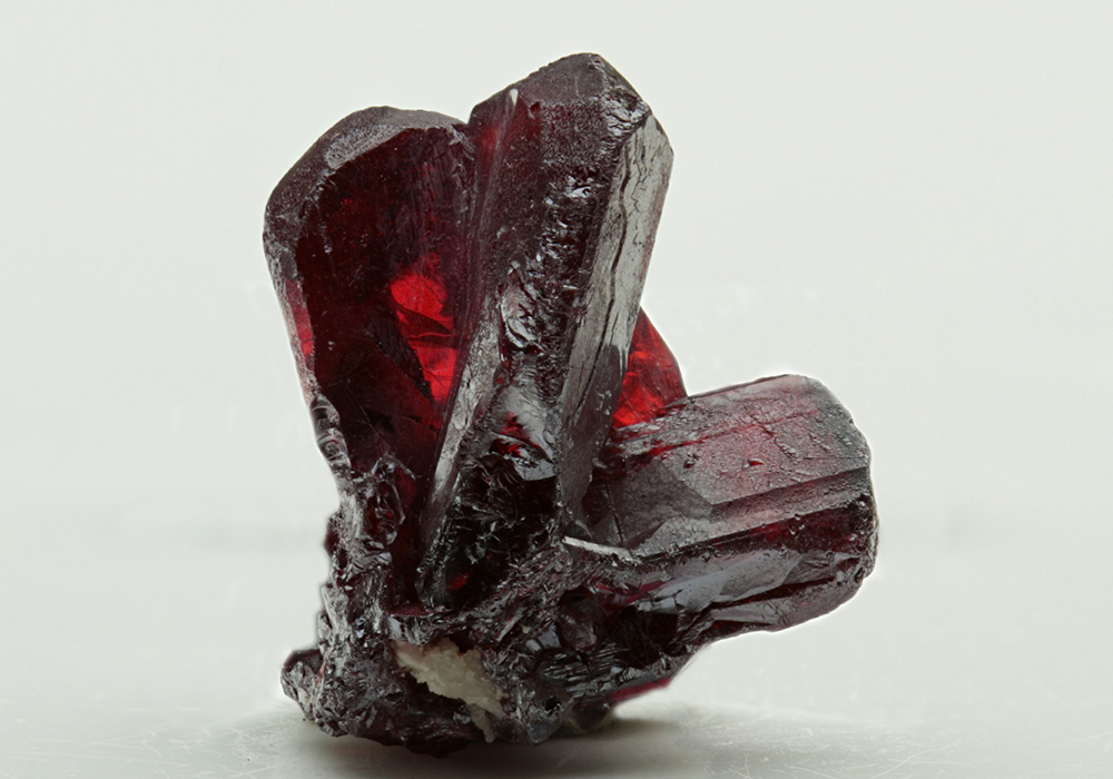 CC6973 specimen image