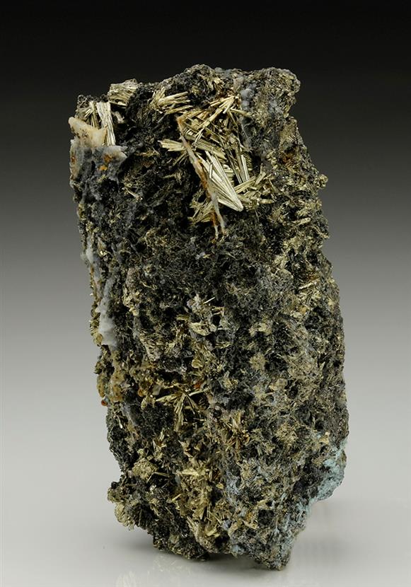 CC6993 specimen image