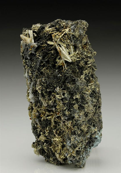 CC6993 specimen image