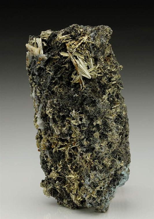 CC6993 specimen image