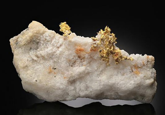 CC7004 specimen image