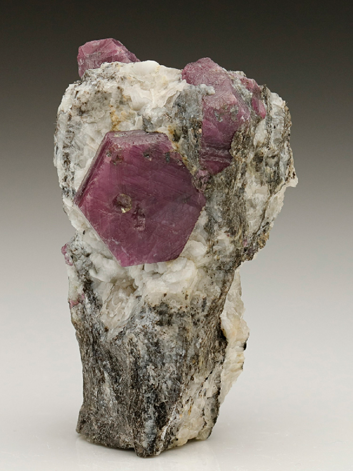 CC7008 specimen image