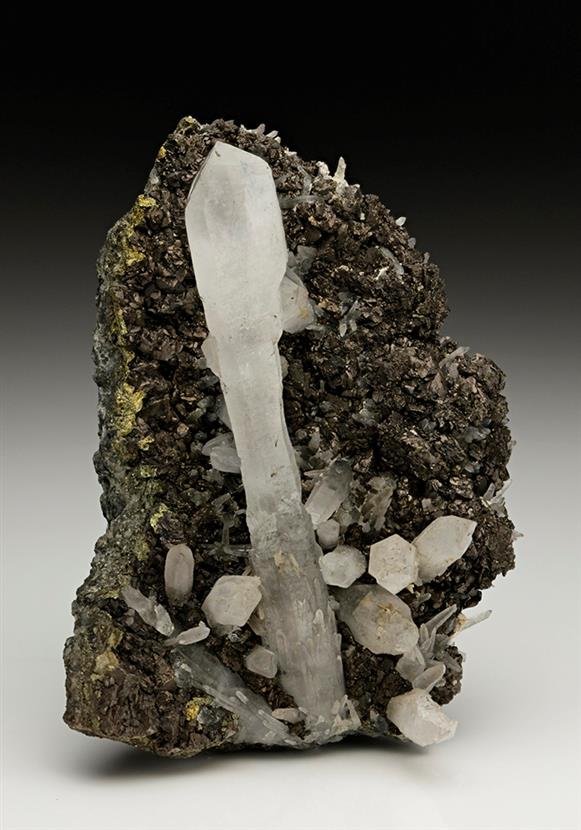 CC7030 specimen image