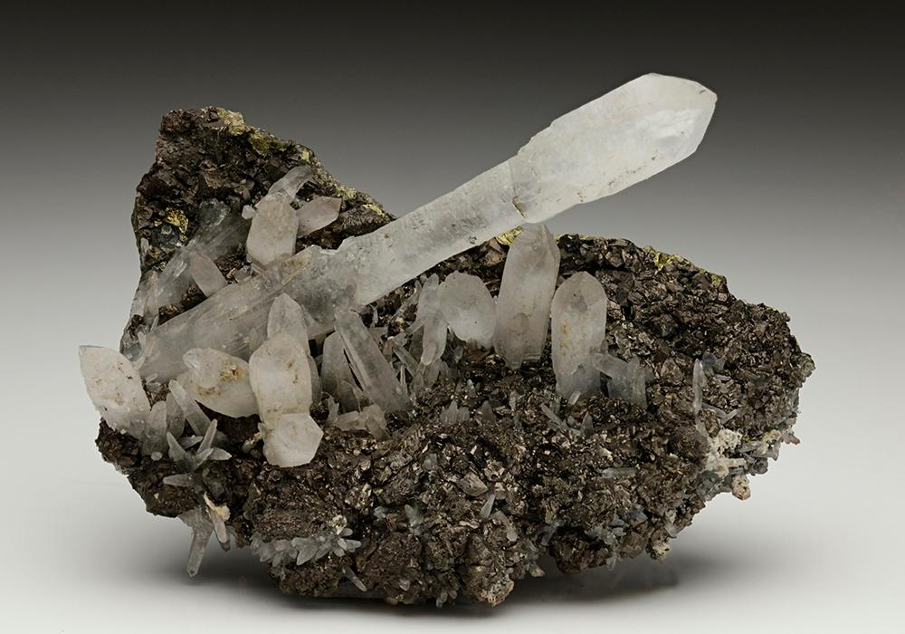 CC7030 specimen image