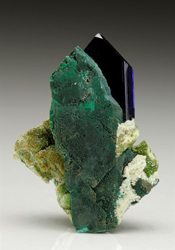 CC7040 specimen image