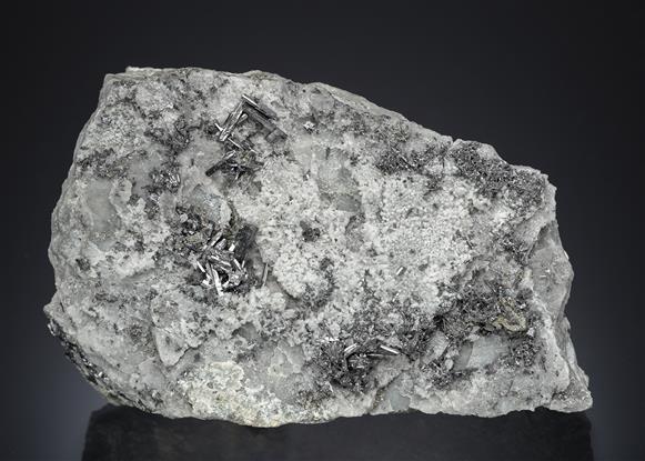 CC7081 specimen image