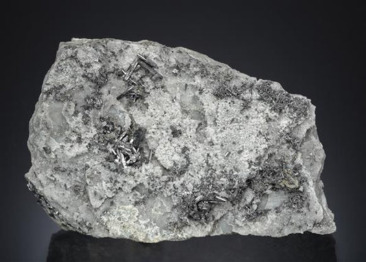 CC7081 specimen image