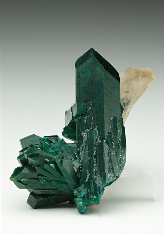CC7104 specimen image