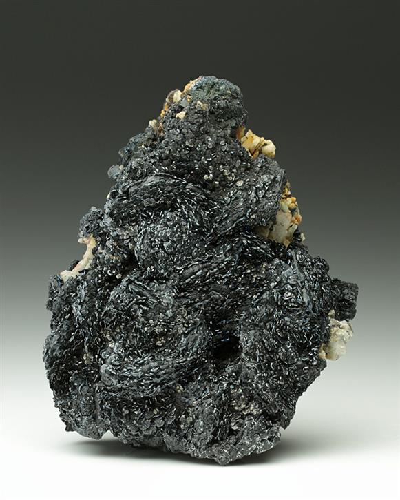 CC7121 specimen image