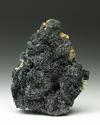 CC7121 specimen image