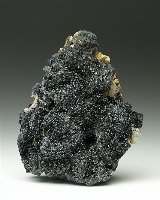 CC7121 specimen image