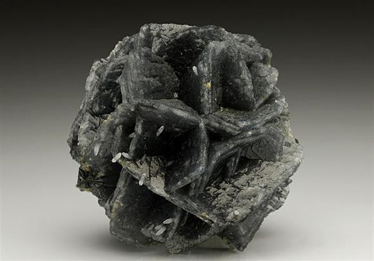 CC7150 specimen image