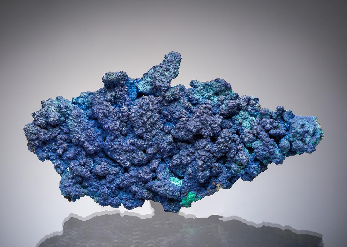 CC7156 specimen image